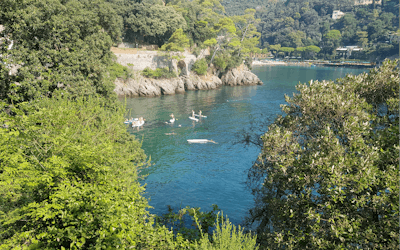 Stand up paddle experience in Portofino